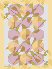 BLOSSOM FIELD