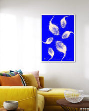 CELESTIAL SEEDS IV - studio_abstracta