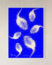 CELESTIAL SEEDS IV - studio_abstracta