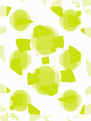 LIME FRAGMENTS - studio_abstracta