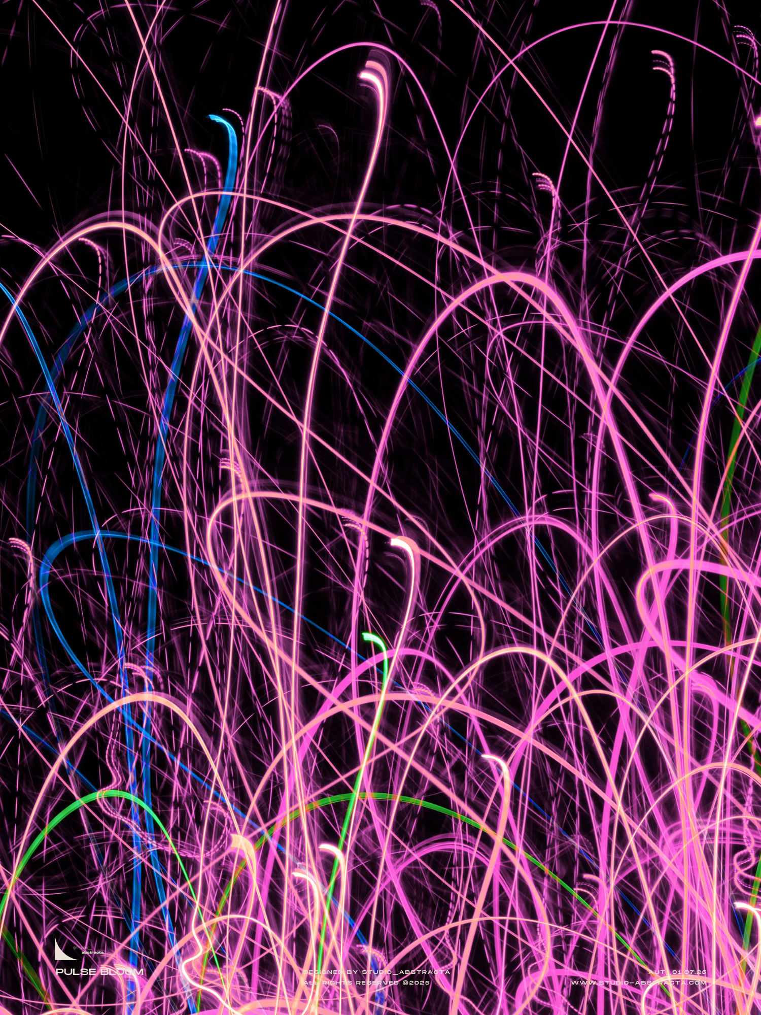 PULSE BLOOM_studio_abstracta.com