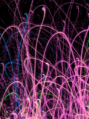 PULSE BLOOM_studio_abstracta.com