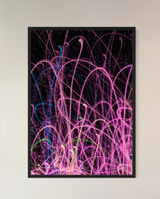 PULSE BLOOM_studio_abstracta.com