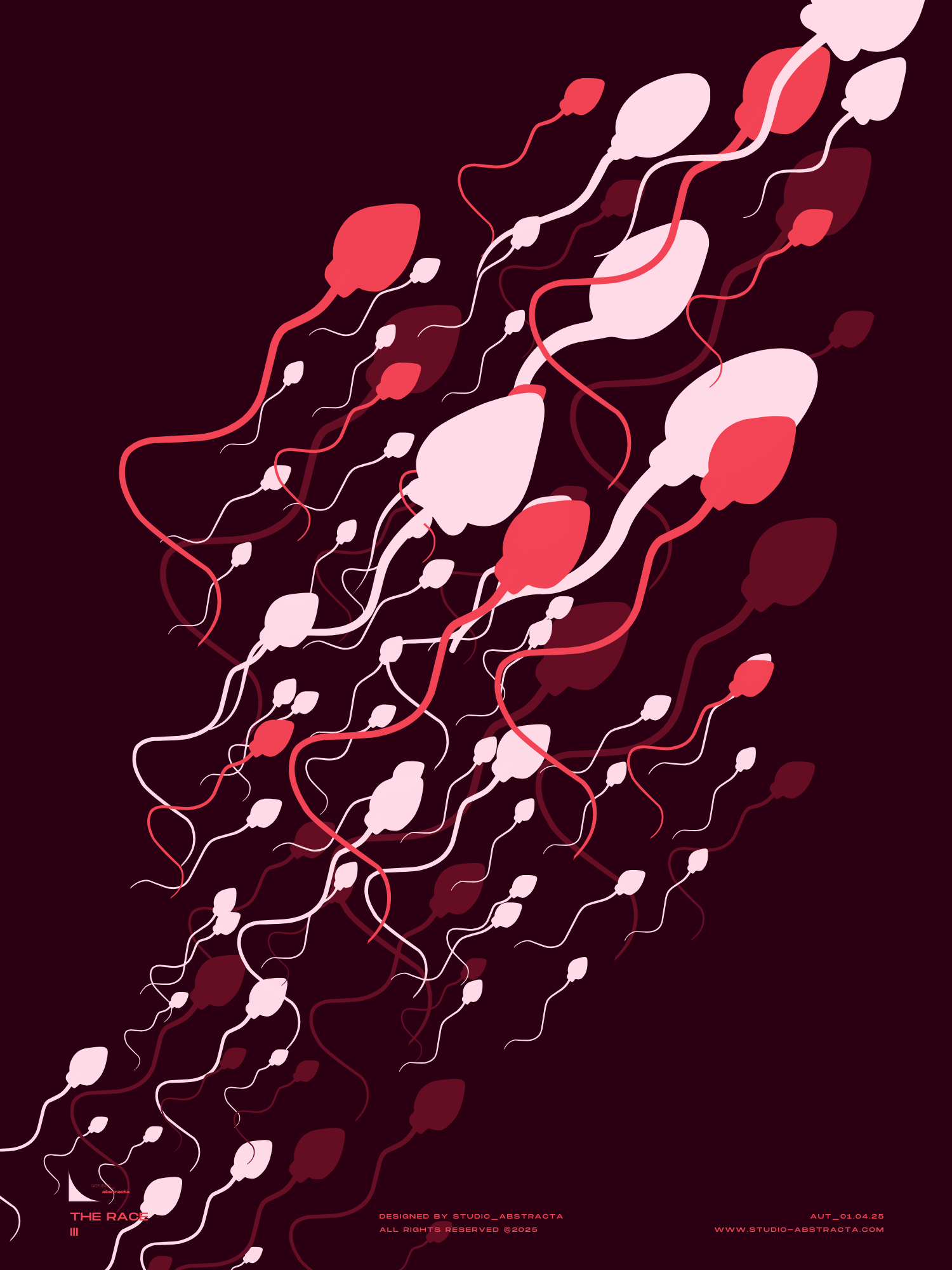THE RACE III - studio_abstracta